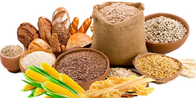 CARBOHIDRATOS