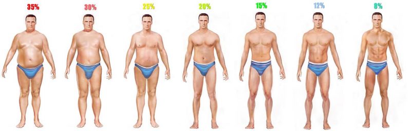 22% grasa corporal
