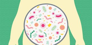 Entendiendo el Microbioma: Cómo afecta la salud intestinal a su Salud Microbioma