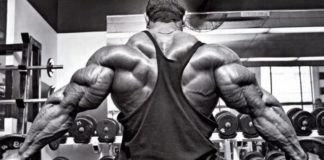 Entrenamiento P.H.A.T: Construir masa y fuerza Entrenamiento P.H.A.T: Construir masa y fuerza
