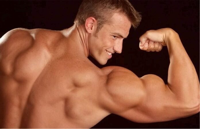 bíceps grandes
