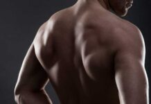 5 mejores consejos de entrenamiento que te ayudarán a fortalecer tu espalda fortalecer tu espalda