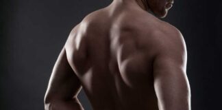 5 mejores consejos de entrenamiento que te ayudarán a fortalecer tu espalda fortalecer tu espalda