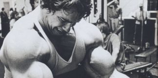 Los grupos musculares más importantes grupos musculares