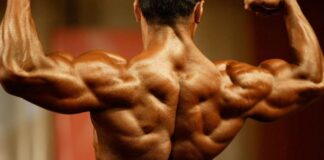 El mejor entrenamiento para la espalda mejor entrenamiento para la espalda