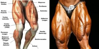 Los 5 principales errores de entrenamiento de las piernas entrenamiento de las piernas