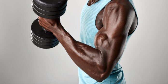 Músculos del brazo: anatomía y función de bíceps, tríceps y antebrazos |  Openfit