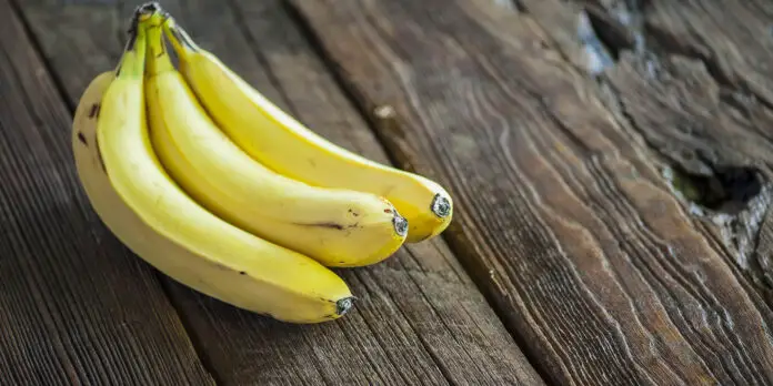 Plátanos: información nutricional y cómo disfrutarlos |  Openfit