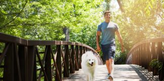 Caminatas de 15 minutos para bajar de peso y salud