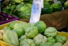 Calorías, carbohidratos y beneficios para la salud
