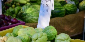 Calorías, carbohidratos y beneficios para la salud