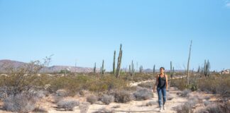¿Cuánto debe caminar para bajar de peso?