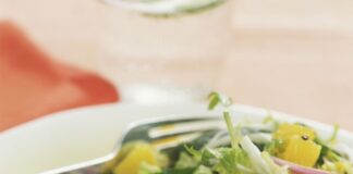 Marcas de hamburguesas vegetarianas sin gluten