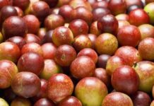 Datos nutricionales y beneficios para la salud de Camu Camu