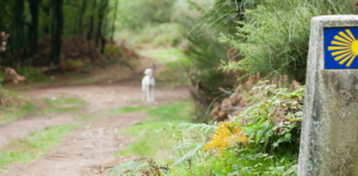 ¿Cómo prepararte físicamente para hacer el Camino de Santiago?