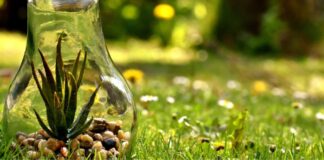 ¿Qué es la Norma ISO 14001 y cómo influye en la gestión ambiental?